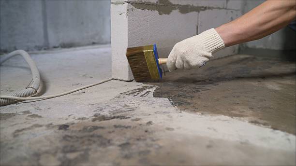 SJ Waterproofing Pros Waterproofing coverage map for Rockwood, MI and surrounding area